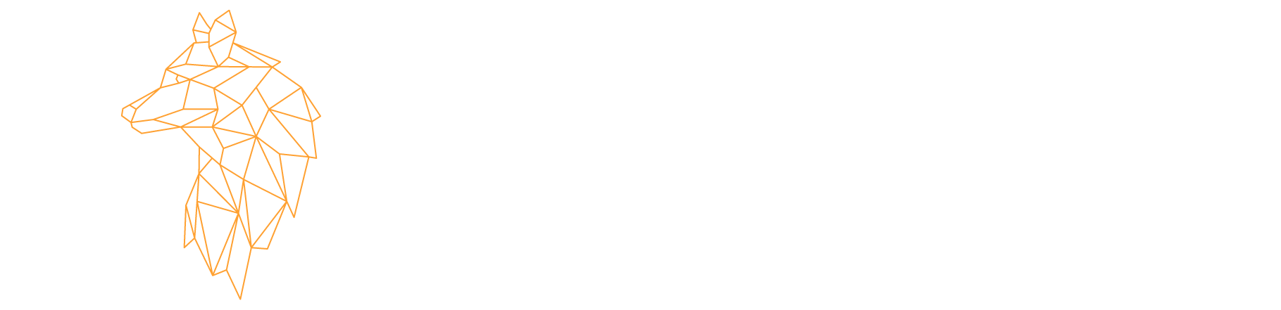 Reconshied Network